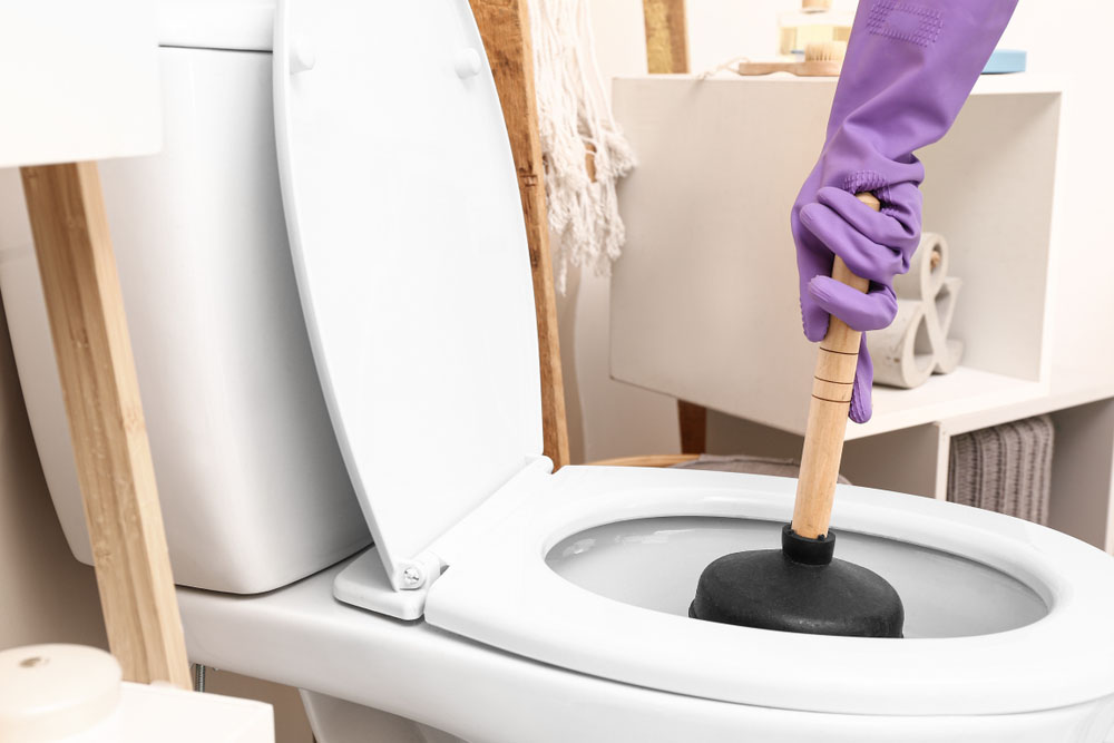 toilet backup