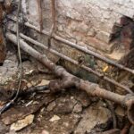 Misaligned sewer line